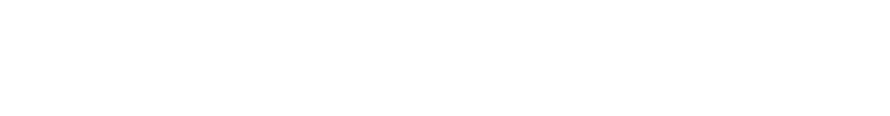 MAGASINET - logo